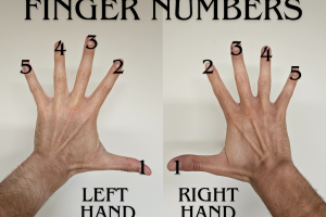 Finger Numbers