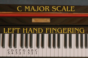 Left Hand